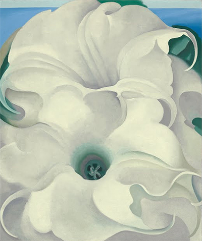 Bella Donna Georgia O'Keeffe